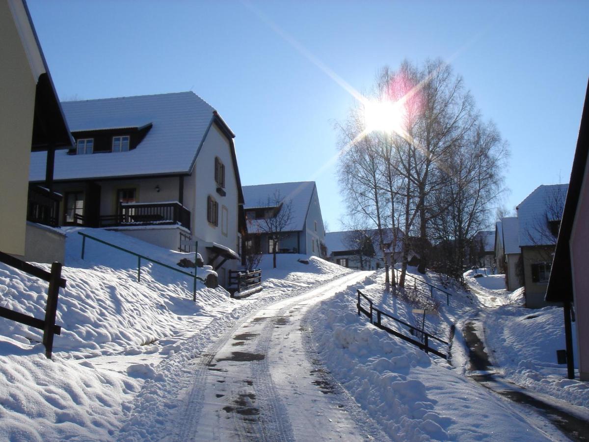 Theater- Und Feriendorf Koenigsleitn Gmbh Litschau Buitenkant foto